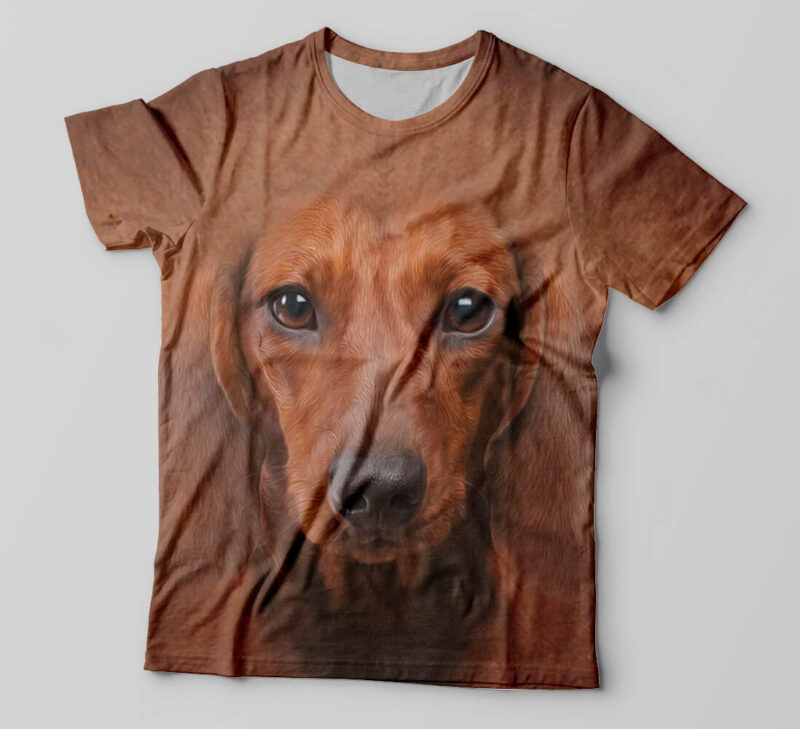 Camisetas personalizada animais