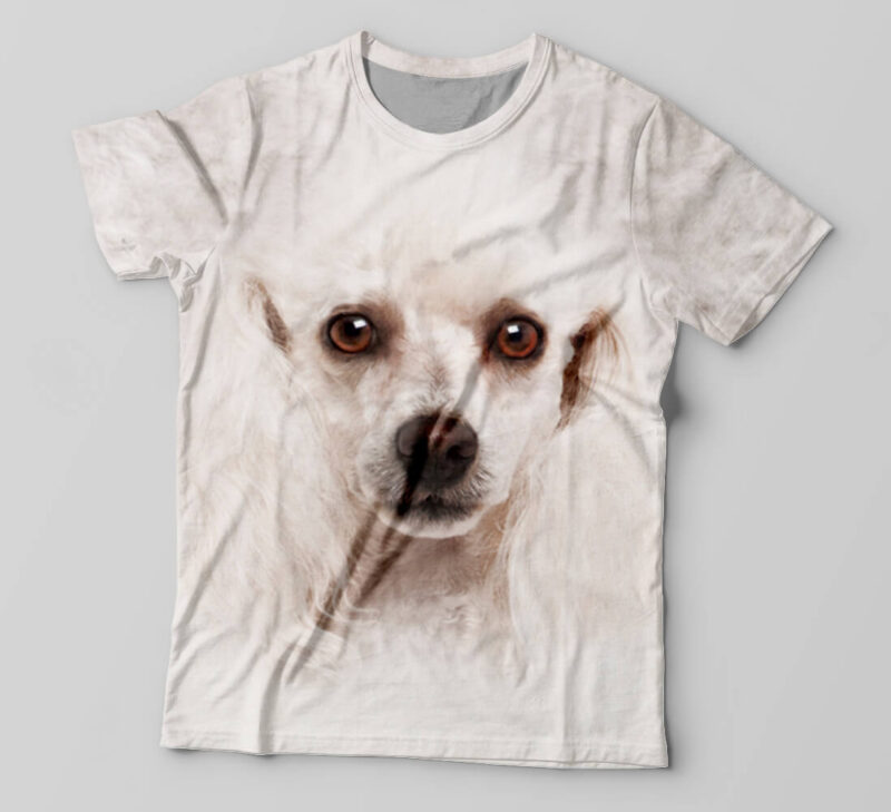 Camisetas personalizadas cachorros