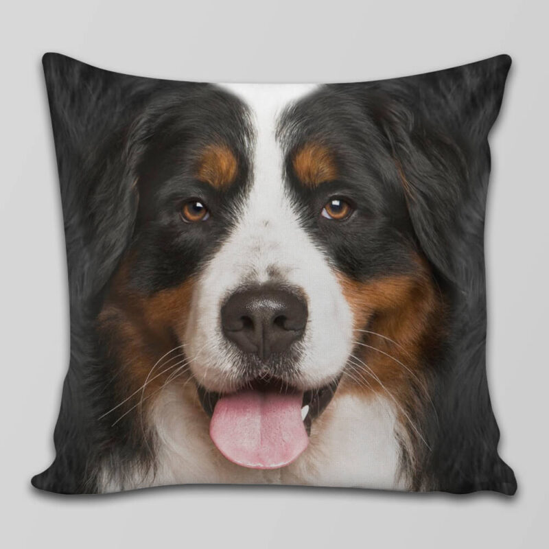 Capa de Almofada Bernese 3D